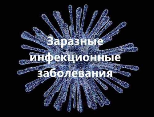 при инфекции мочевыводящих путей откажитесь от этих 6 продуктов